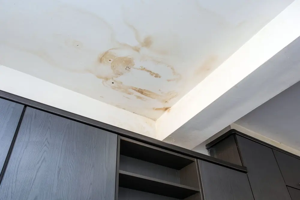 Stopping water damage is our highest priority in The Woodlands, TX