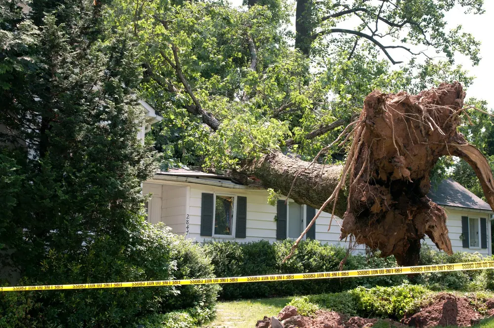 Uprooted tree fallen onto a house roof after a storm, with caution tape in the yard